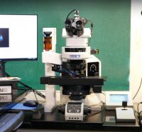 phoca thumb m genos 2